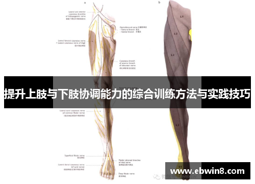 提升上肢与下肢协调能力的综合训练方法与实践技巧